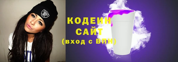 ГАЛЛЮЦИНОГЕННЫЕ ГРИБЫ Богданович